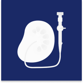 Icono 1