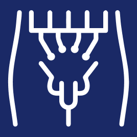 Icono 1