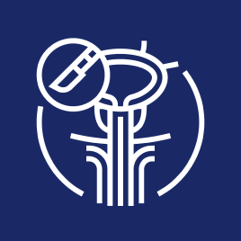 Icono 1